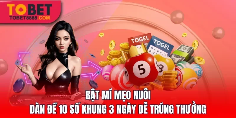 Bật mí mẹo nuôi dàn đề 10 số khung 3 dễ trúng thưởng